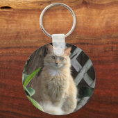 Schoonheid - De  zwerfkat - Sleutelhanger (Voorkant)