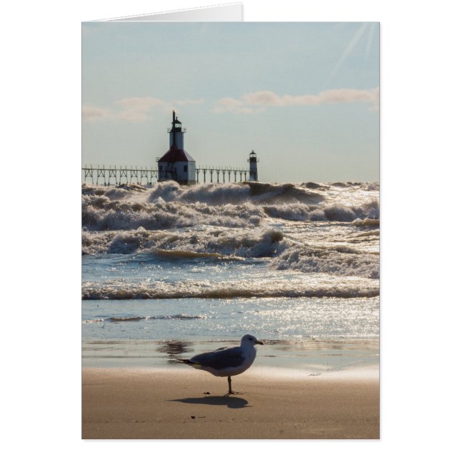 Schoonheid en kracht (Voorkant)