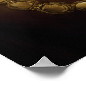 Schoonheid en veerkracht: portret van een Afghaans Poster (Hoek)