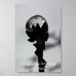 Schoonheid en wonder bevroren regendruppels poster