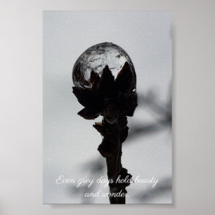 Schoonheid en wonder bevroren regendruppels poster