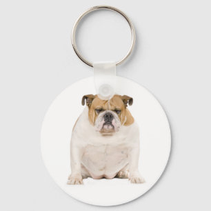 Schoonheid Engelse Bulldog Puppy Hond Sleutelhange Sleutelhanger