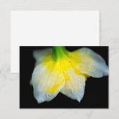 Schoonheid eronder bedankkaart (Voorkant / Achterkant)