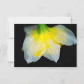 Schoonheid eronder bedankkaart (Voorkant)