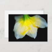 Schoonheid eronder bedankkaart (Voorkant / Achterkant)