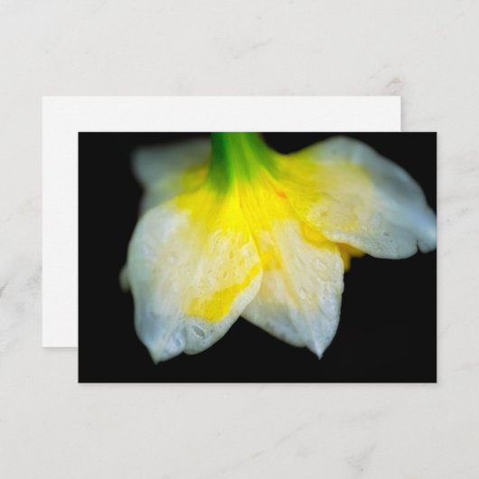 Schoonheid eronder bedankkaart (Voorkant / Achterkant)