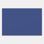 Schoonheid Gelijnd Spikkel Blauw Inpakpapier Vel (Voorkant 2)