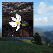 SCHOONHEID GODS HANDSCHRIFT EMERSON EARTHY CANVAS AFDRUK