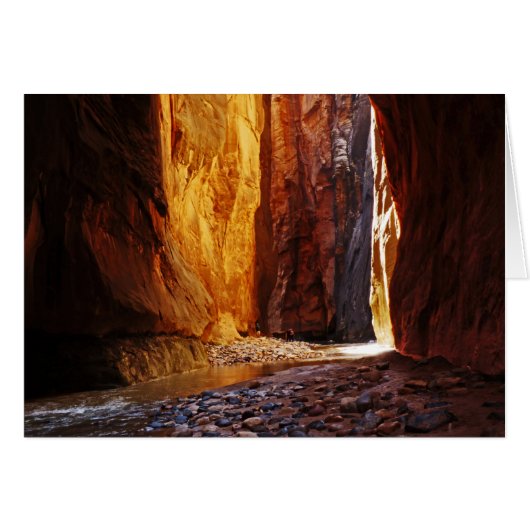 Schoonheid Het nationale park van Narrows Zion Uta (Voorkant Horizontaal)