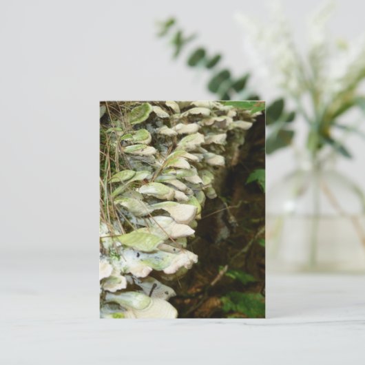 Schoonheid in de Bossen Briefkaart (Staand voorkant)