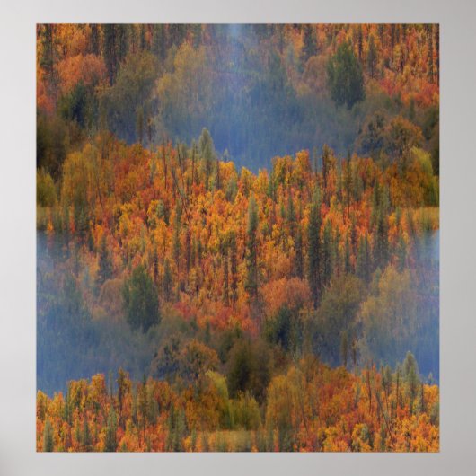 Schoonheid in de Herfst... Poster (Voorkant)