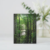 Schoonheid in de Marsh Briefkaart (Staand voorkant)