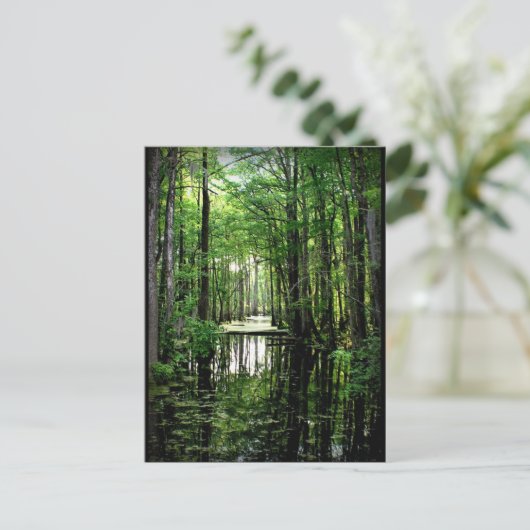 Schoonheid in de Marsh Briefkaart (Staand voorkant)