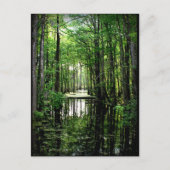 Schoonheid in de Marsh Briefkaart (Voorkant)