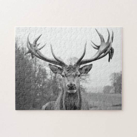 Schoonheid in de natuur legpuzzel (Horizontaal)