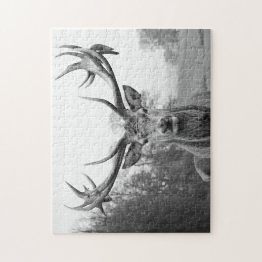 Schoonheid in de natuur legpuzzel (Verticaal)