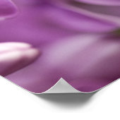 Schoonheid in de natuur - Paars Lila Poster (Hoek)