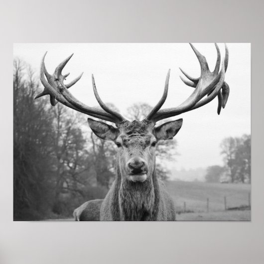 Schoonheid in de natuur poster (Voorkant)