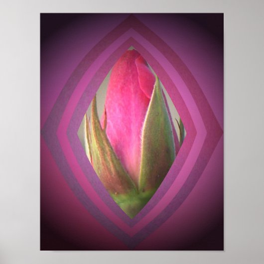 Schoonheid in de schaduw poster (Voorkant)