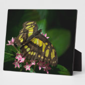 Schoonheid in de Stars Plaque Fotoplaat (Zijkant)