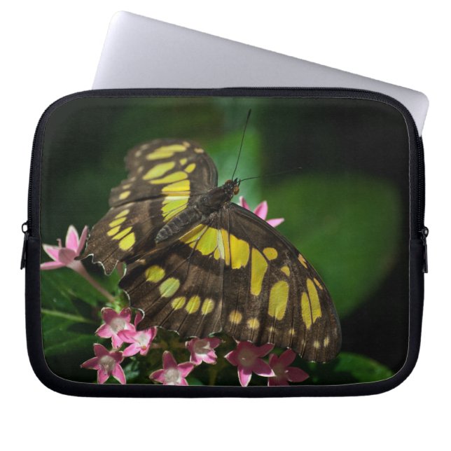 Schoonheid in de val van de sterren-laptop laptop sleeve (Voorkant)