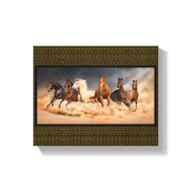 Schoonheid in de zand ... Ringpaarden