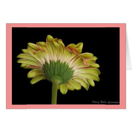 Schoonheid in en uit