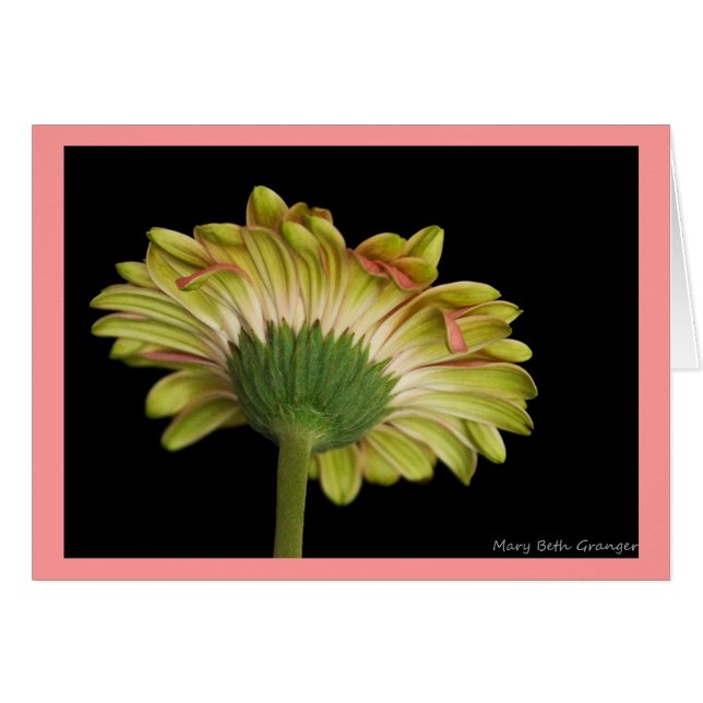 Schoonheid in en uit (Voorkant Horizontaal)