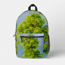 Schoonheid in het Storm