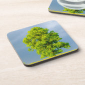 Schoonheid in het Storm Bier Onderzetter (Linkerzijde)