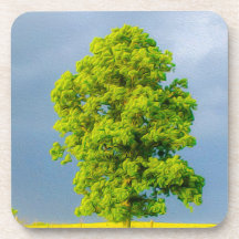 Schoonheid in het Storm