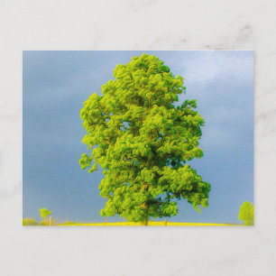 Schoonheid in het Storm Briefkaart