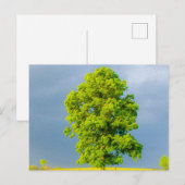 Schoonheid in het Storm Briefkaart (Voorkant / Achterkant)