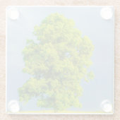 Schoonheid in het Storm Glazen Onderzetter (Achterkant)