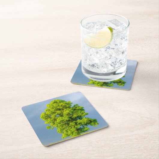 Schoonheid in het Storm Kartonnen Onderzetters (Insitu)