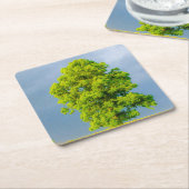 Schoonheid in het Storm Kartonnen Onderzetters (Schuin)