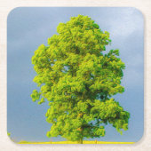 Schoonheid in het Storm Kartonnen Onderzetters (Voorkant)