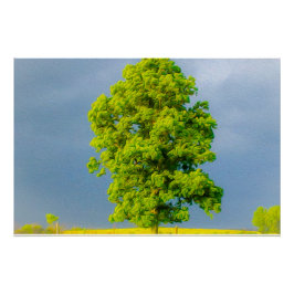 Schoonheid in het Storm Perfect Poster