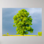 Schoonheid in het Storm Poster (Voorkant)