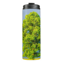 Schoonheid in het Storm