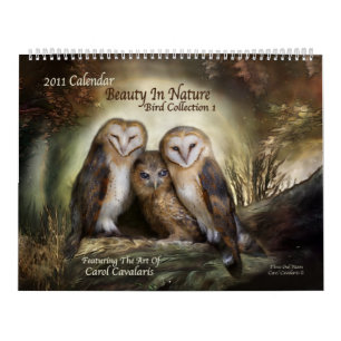Schoonheid in Natuur 2011 Art Calendar Kalender