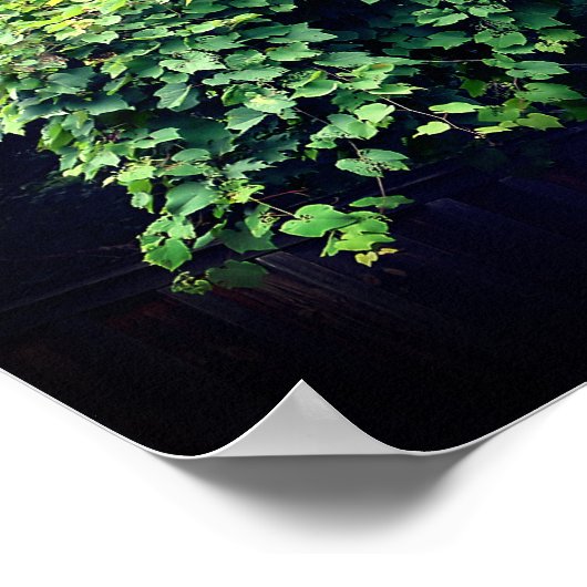 Schoonheid in Natuur wijnen Inspirerend citaat Poster (Hoek)