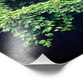 Schoonheid in Natuur wijnstokken Inspirerend Quote Foto Afdruk (Hoek)