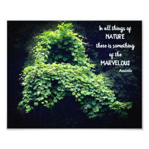 Schoonheid in Natuur wijnstokken Inspirerend Quote Foto Afdruk