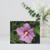 Schoonheid in Roze Briefkaart (Staand voorkant)