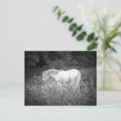 Schoonheid in zwart-wit briefkaart (Staand voorkant)