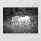 Schoonheid in zwart-wit briefkaart (Voorkant)