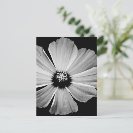 Schoonheid in zwart-wit briefkaart (Staand voorkant)