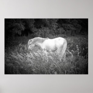 Schoonheid in zwart-wit poster