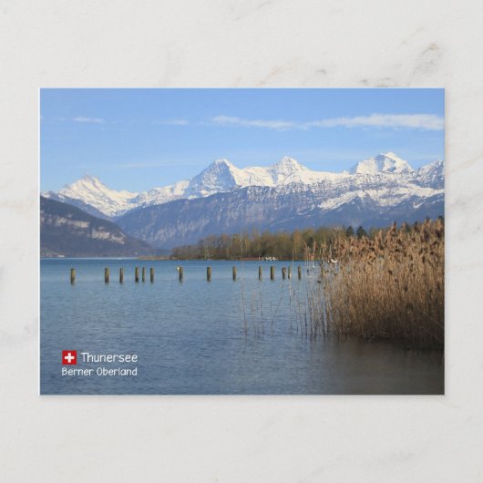 Schoonheid in Zwitserland Briefkaart (Voorkant)